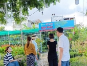 Cây cảnh Đà Nẵng - Thi Công, Cung Cấp Cây Cảnh Cho Công Trình