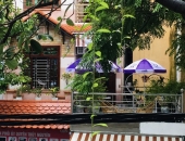 Thi Công Giàn Hoa, Cây Cảnh Cho Nhà Ở
