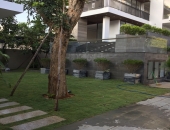 Thiết kế thi công sân vườn, cung cấp cây xanh cho biệt thự tại Đà Nẵng